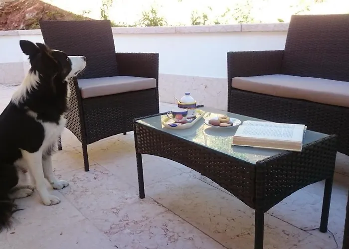 فندق مبيت وإفطار Happy Guest كابرينو فيرونيسي